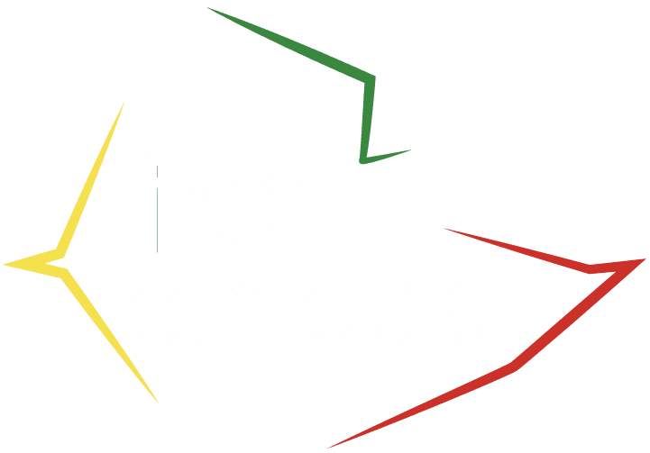 Human Capital Development Strategy for the Ethiopian Capital Market Ecosystem